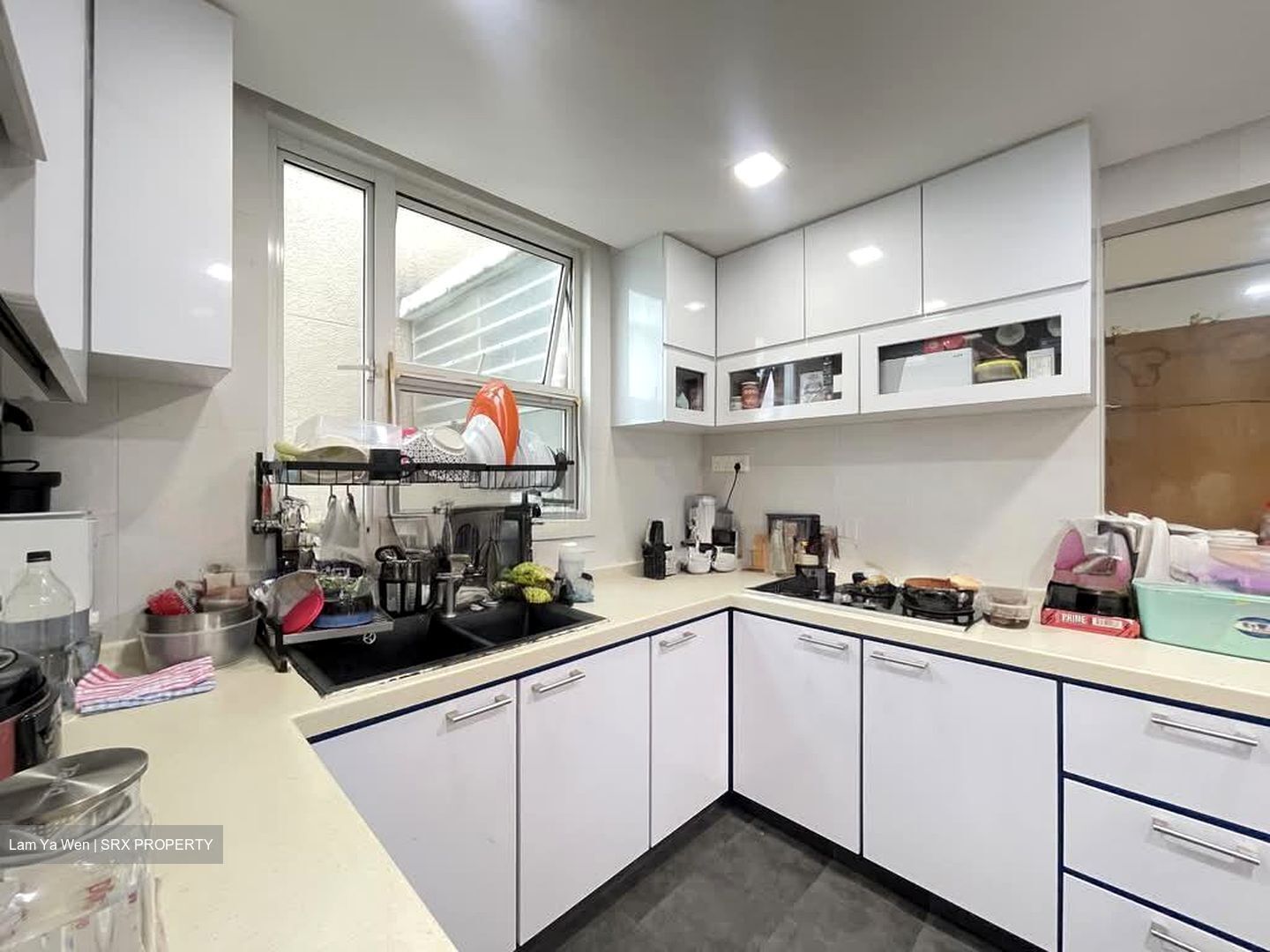 Dahlia Park Condominium (D17), Condominium #529442311